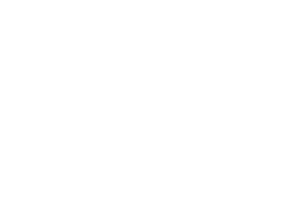 DVSA